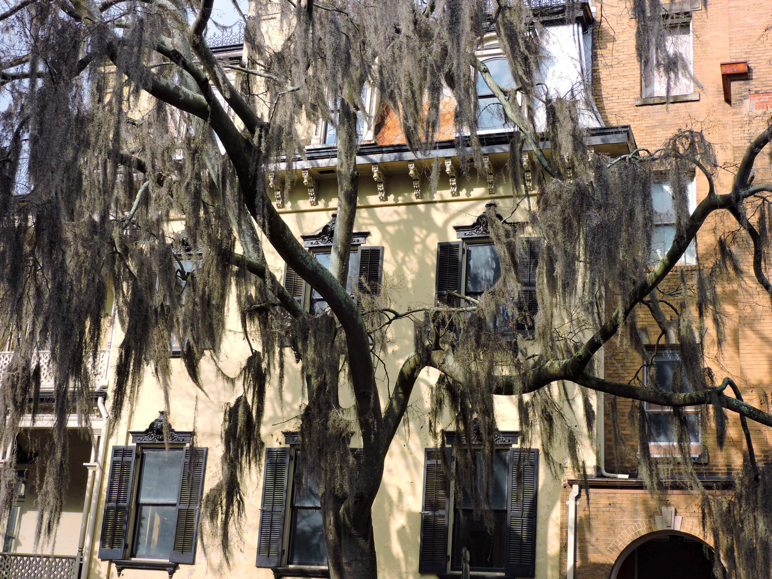 10 Must Things to do in Savannah on Your First Visit